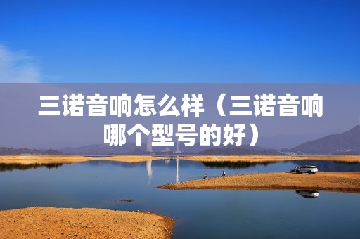 三诺音响怎么样（三诺音响哪个型号的好）