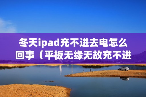 冬天ipad充不进去电怎么回事（平板无缘无故充不进电的恢复方法）