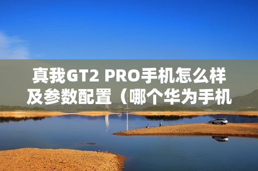 真我GT2 PRO手机怎么样及参数配置（哪个华为手机值得入手）