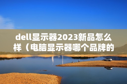 dell显示器2023新品怎么样（电脑显示器哪个品牌的好一点）