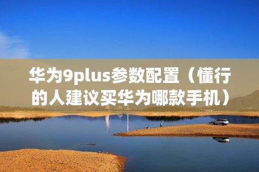 华为9plus参数配置（懂行的人建议买华为哪款手机）