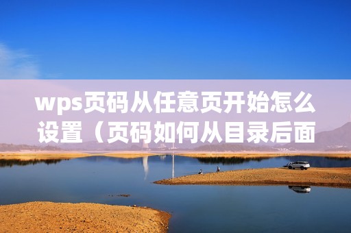 wps页码从任意页开始怎么设置（页码如何从目录后面开始设置）