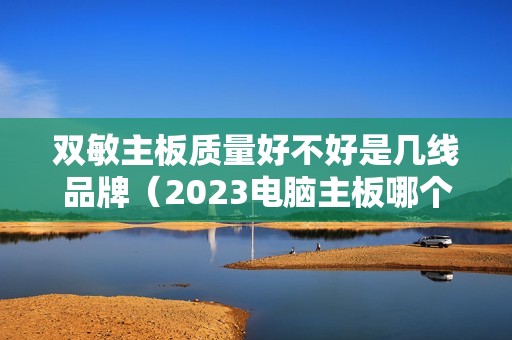 双敏主板质量好不好是几线品牌（2023电脑主板哪个好）