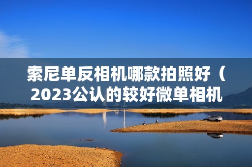 索尼单反相机哪款拍照好（2023公认的较好微单相机）
