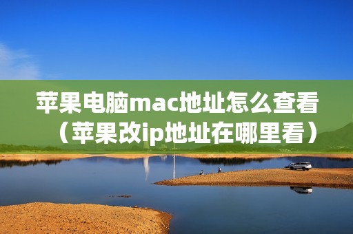 苹果电脑mac地址怎么查看（苹果改ip地址在哪里看）
