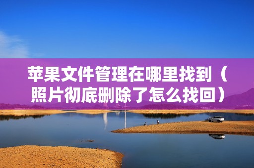 苹果文件管理在哪里找到（照片彻底删除了怎么找回）