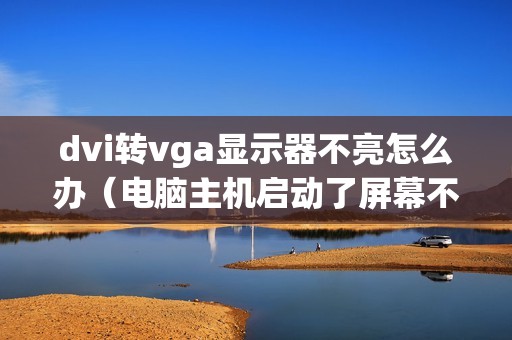 dvi转vga显示器不亮怎么办（电脑主机启动了屏幕不亮怎么解决）