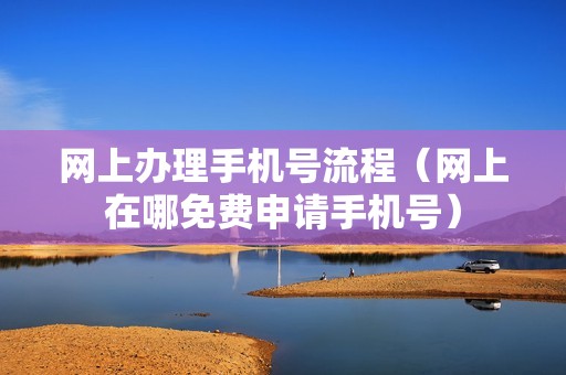 网上办理手机号流程（网上在哪免费申请手机号）