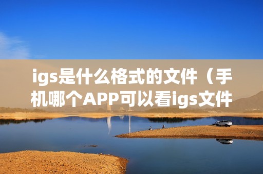 igs是什么格式的文件（手机哪个APP可以看igs文件）