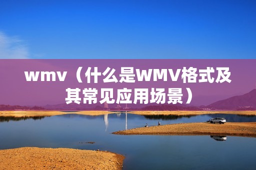 wmv（什么是WMV格式及其常见应用场景）