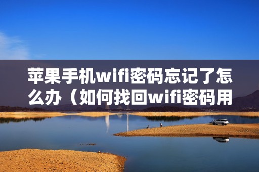 苹果手机wifi密码忘记了怎么办（如何找回wifi密码用手机）