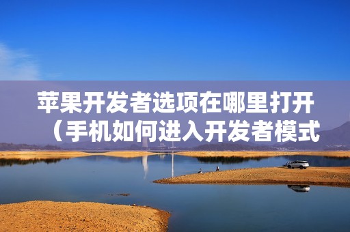 苹果开发者选项在哪里打开（手机如何进入开发者模式）