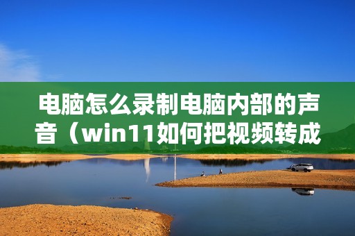 电脑怎么录制电脑内部的声音（win11如何把视频转成音频）
