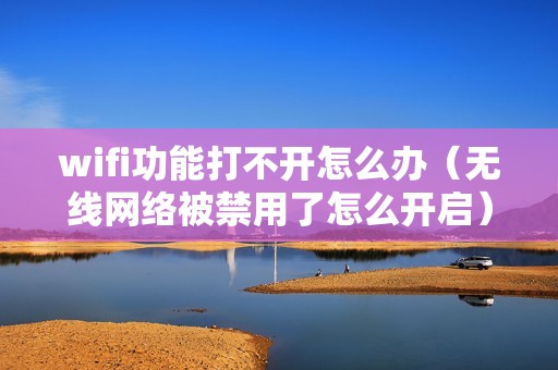 wifi功能打不开怎么办（无线网络被禁用了怎么开启）