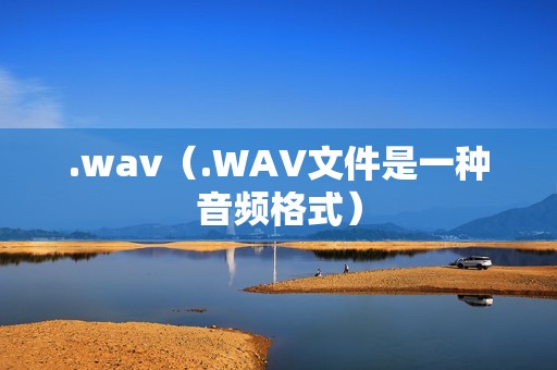 .wav(.WAV文件是一种音频格式)