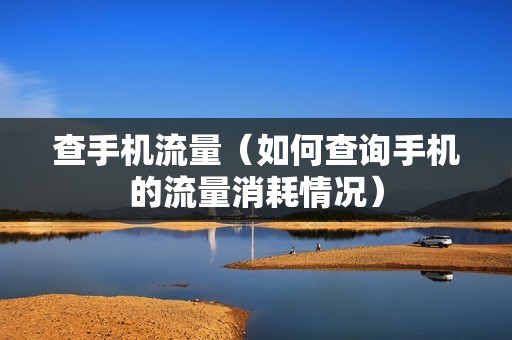 查手机流量（如何查询手机的流量消耗情况）