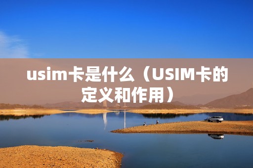 usim卡是什么（USIM卡的定义和作用）