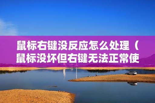 鼠标右键没反应怎么处理（鼠标没坏但右键无法正常使用的解决方法）