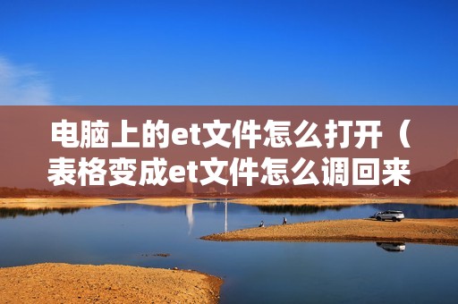 电脑上的et文件怎么打开（表格变成et文件怎么调回来）