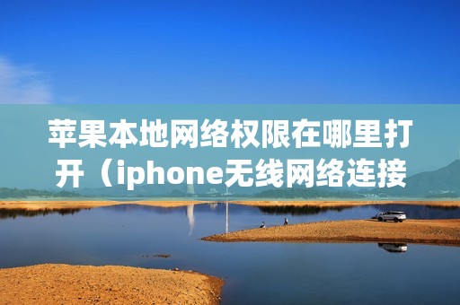 苹果本地网络权限在哪里打开（iphone无线网络连接在哪设置）