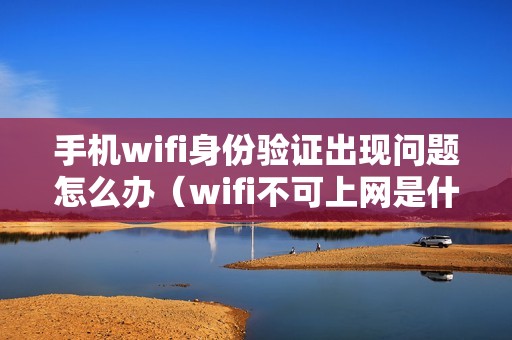 手机wifi身份验证出现问题怎么办（wifi不可上网是什么原因）