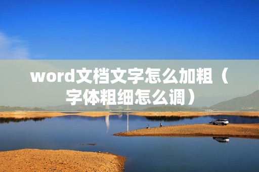 word文档文字怎么加粗（字体粗细怎么调）