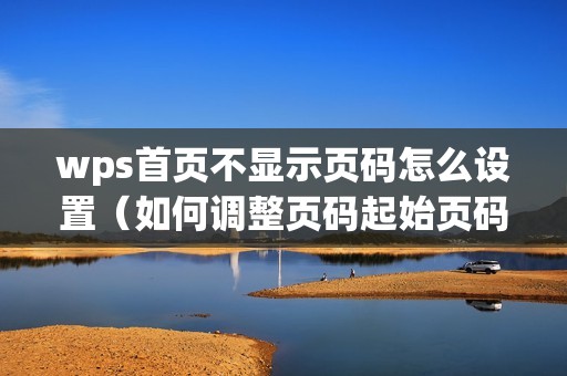 wps首页不显示页码怎么设置（如何调整页码起始页码）