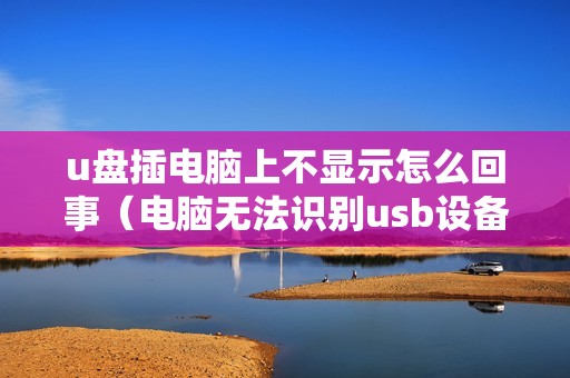 u盘插电脑上不显示怎么回事（电脑无法识别usb设备怎么办）