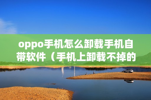 oppo手机怎么卸载手机自带软件（手机上卸载不掉的软件怎样卸载）