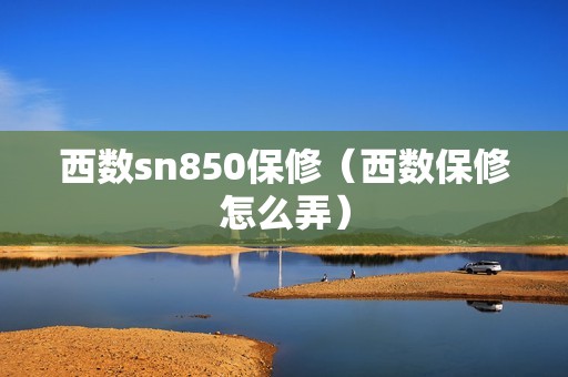 西数sn850保修（西数保修怎么弄）
