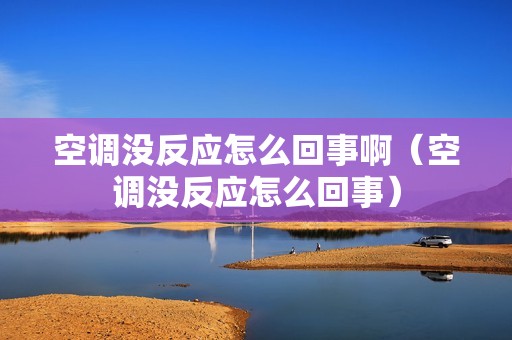 空调没反应怎么回事啊（空调没反应怎么回事）