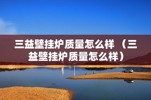 三益壁挂炉质量怎么样 （三益壁挂炉质量怎么样）