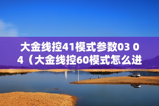 大金线控41模式参数03 04（大金线控60模式怎么进）