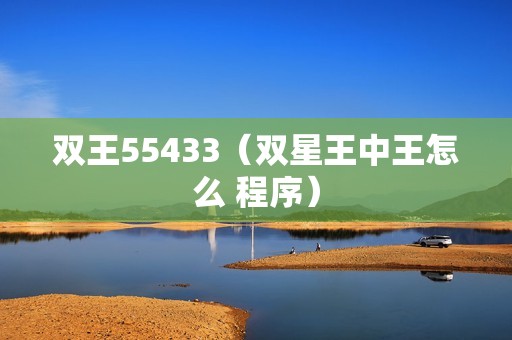 双王55433（双星王中王怎么 程序）