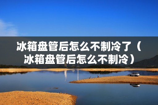 冰箱盘管后怎么不制冷了（冰箱盘管后怎么不制冷）