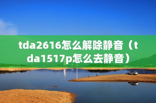 tda2616怎么解除静音（tda1517p怎么去静音）