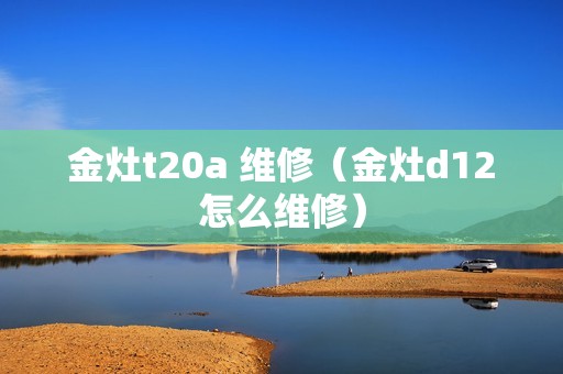 金灶t20a 维修（金灶d12怎么维修）