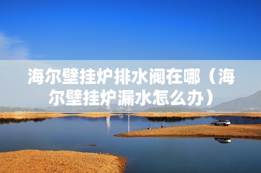 海尔壁挂炉排水阀在哪（海尔壁挂炉漏水怎么办）