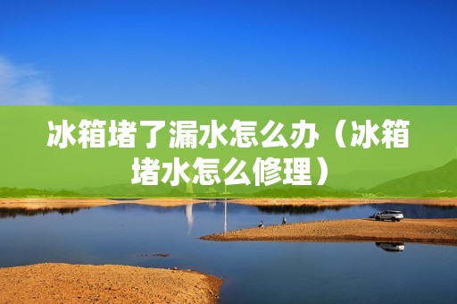 冰箱堵了漏水怎么办（冰箱堵水怎么修理）