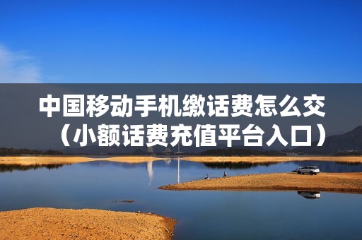 中国移动手机缴话费怎么交（小额话费充值平台入口）