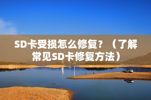 SD卡受损怎么修复？（了解常见SD卡修复方法）