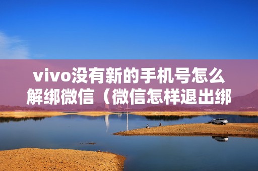 vivo没有新的手机号怎么解绑微信(微信怎样退出绑定手机号)