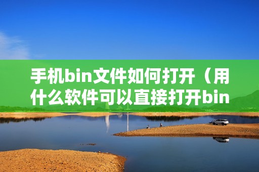手机bin文件如何打开（用什么软件可以直接打开bin文件）