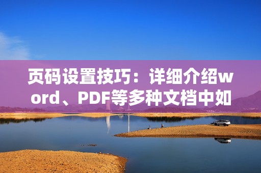 页码设置技巧：详细介绍word、PDF等多种文档中如何设置页码