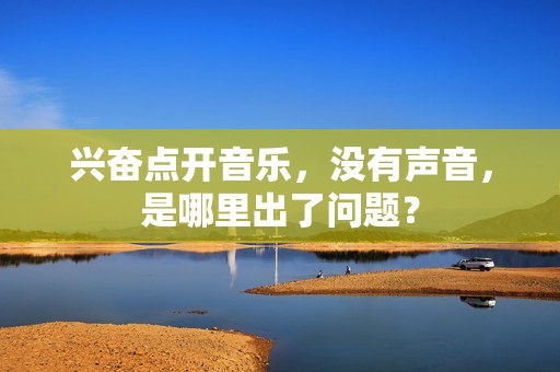 兴奋点开音乐，没有声音，是哪里出了问题？