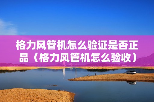 格力风管机怎么验证是否正品(格力风管机怎么验收)