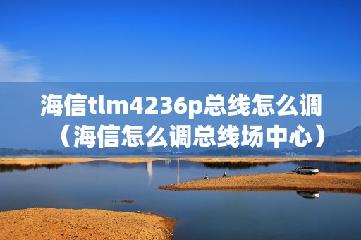 海信tlm4236p总线怎么调（海信怎么调总线场中心）