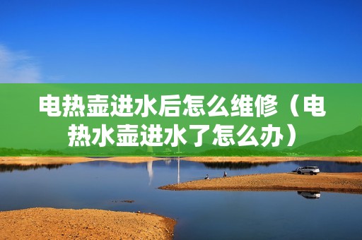电热壶进水后怎么维修（电热水壶进水了怎么办）