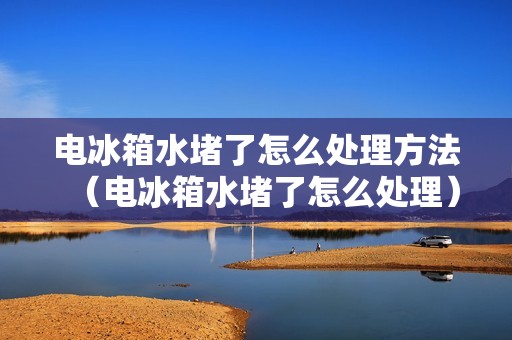 电冰箱水堵了怎么处理方法（电冰箱水堵了怎么处理）
