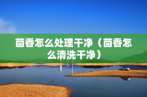 茴香怎么处理干净（茴香怎么清洗干净）